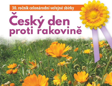 Snímek obrazovky 2026-05-11 111857